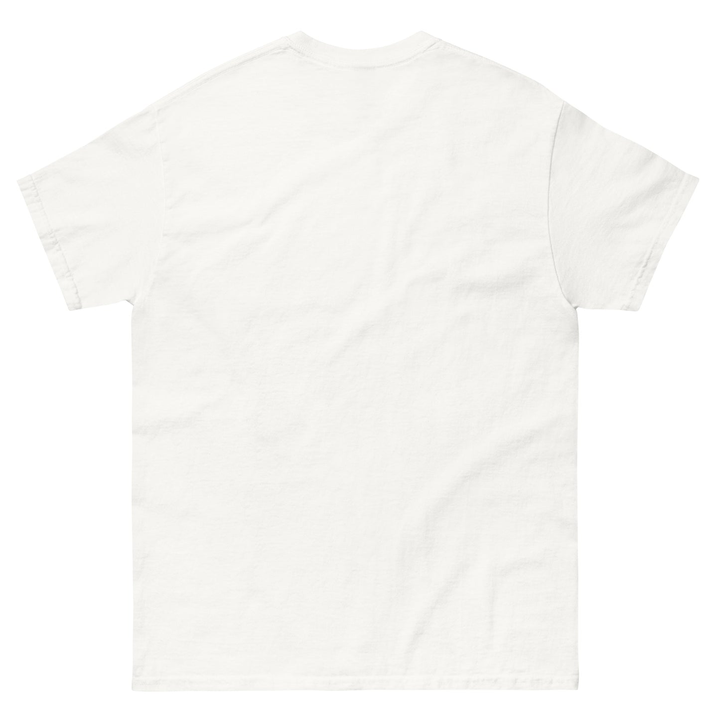 Plain white t-shirt on a white background